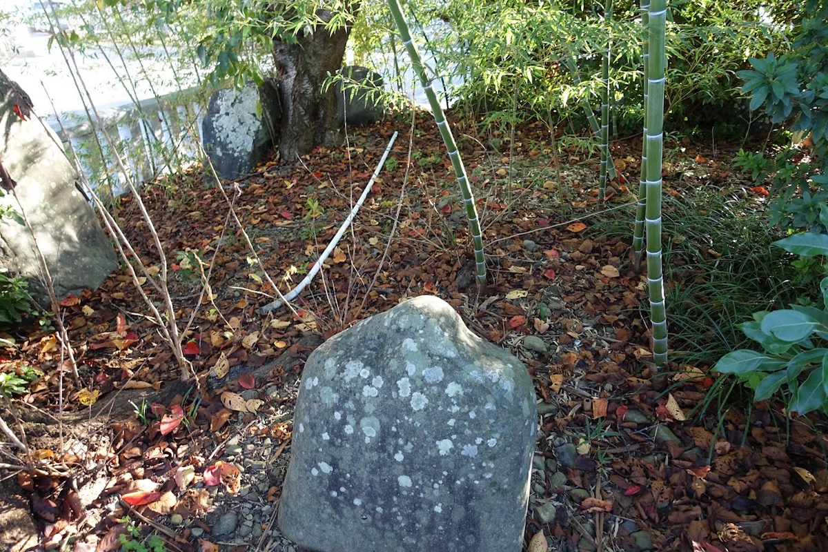 f:id:massneko:20211125214231p:plain