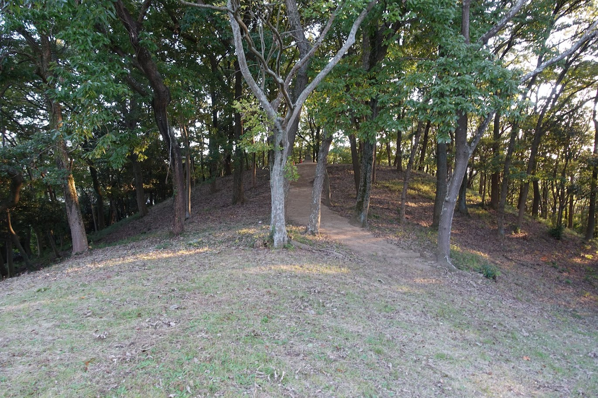f:id:massneko:20211127083936p:plain
