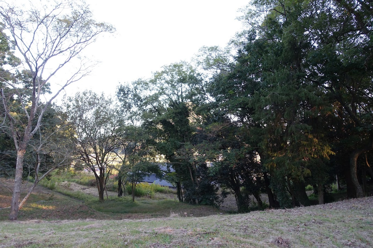 f:id:massneko:20211127084132p:plain