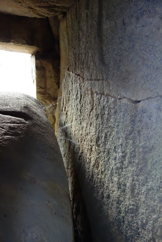 f:id:massneko:20211226175954p:plain