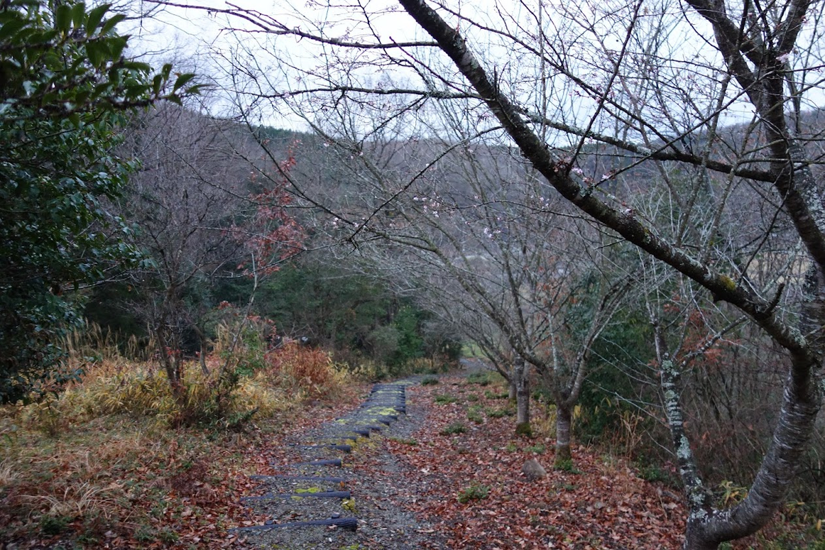 f:id:massneko:20211231143212p:plain