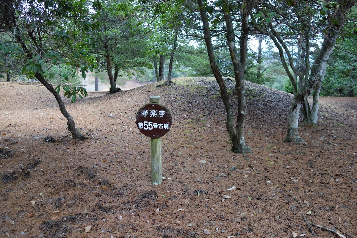 f:id:massneko:20211231165755p:plain