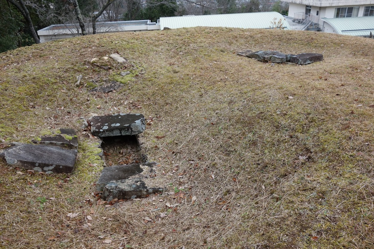 f:id:massneko:20211231173749p:plain