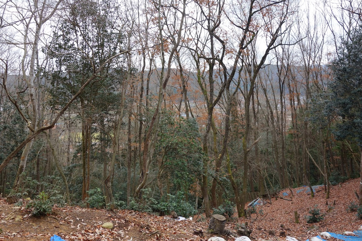 f:id:massneko:20211231174529p:plain