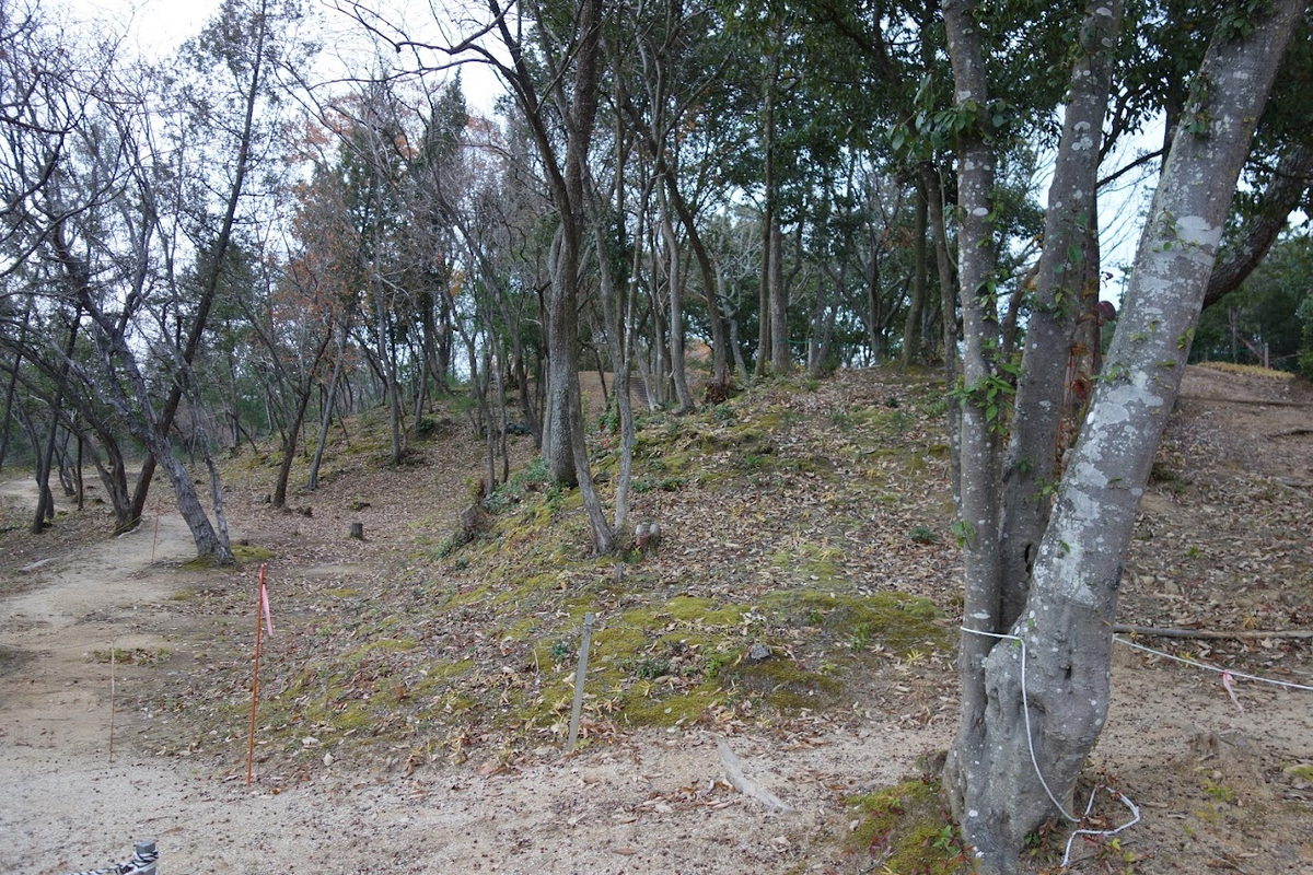 f:id:massneko:20220116215445p:plain