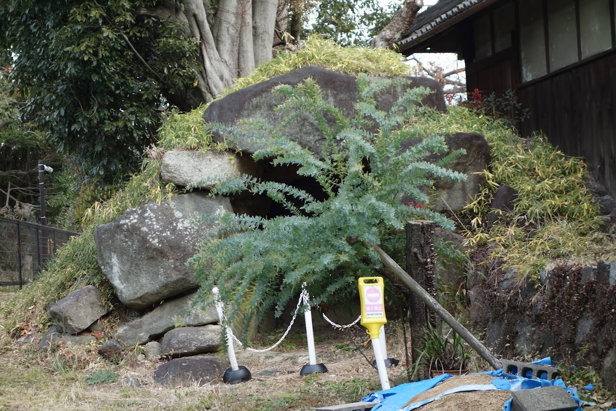 f:id:massneko:20220125115714p:plain