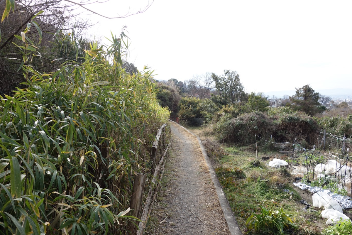 f:id:massneko:20220125162412p:plain