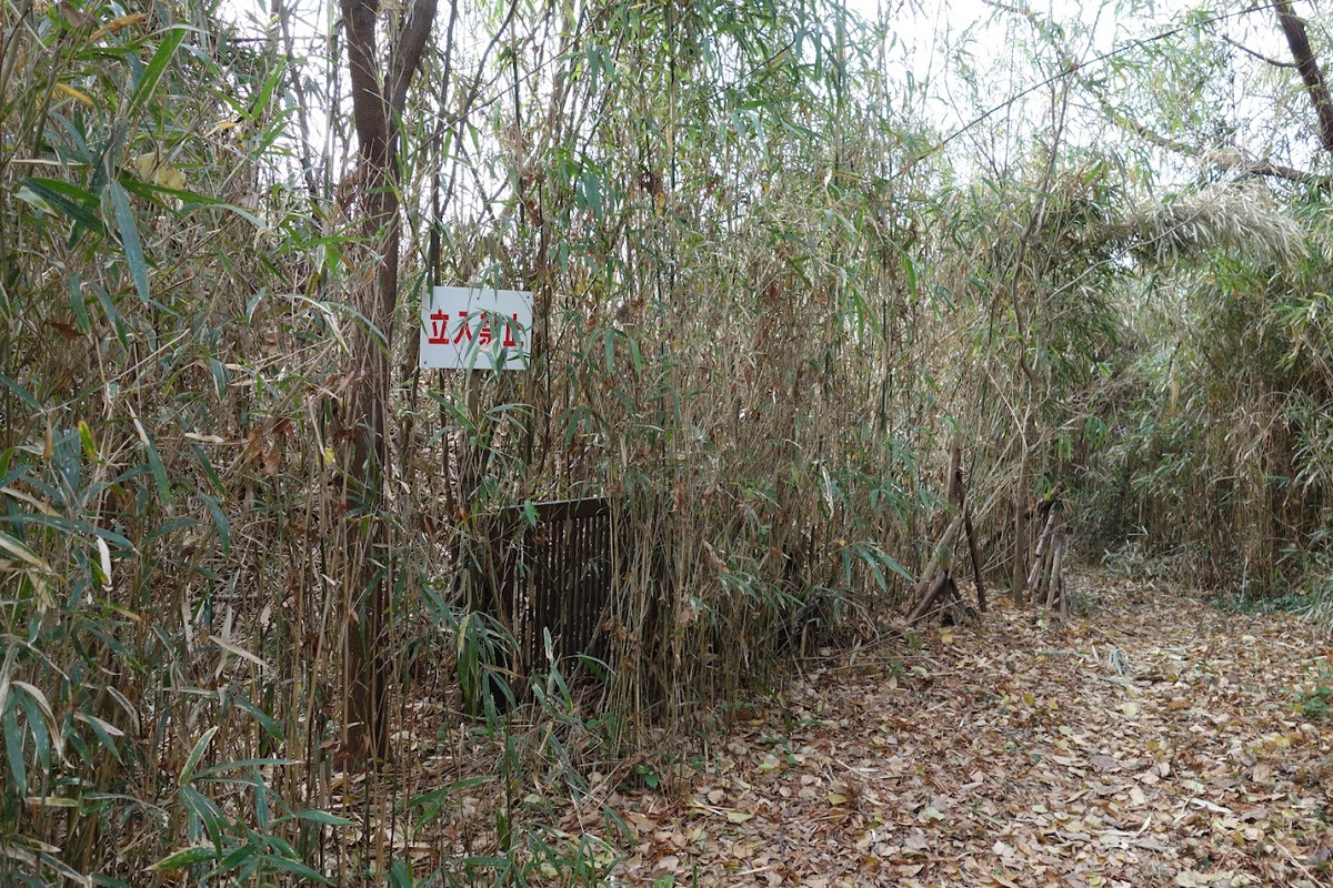 f:id:massneko:20220125162540p:plain