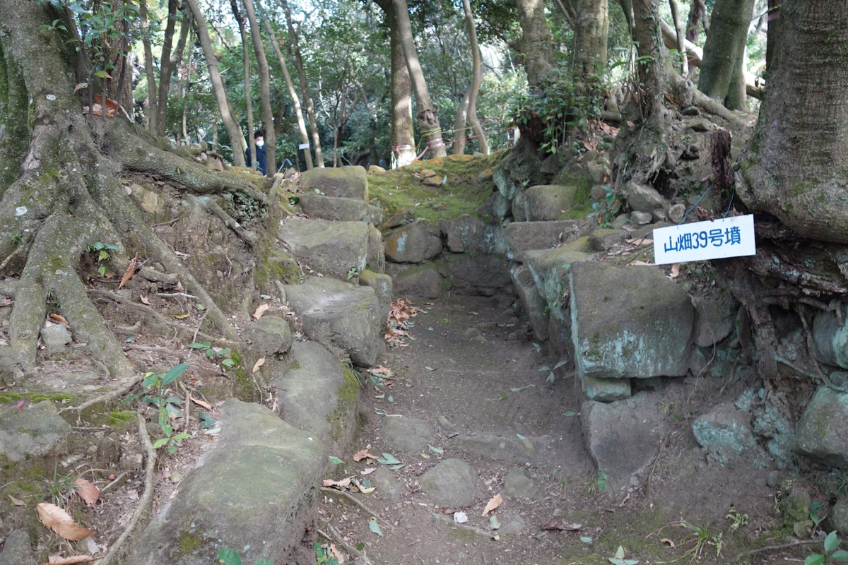 f:id:massneko:20220125163244p:plain