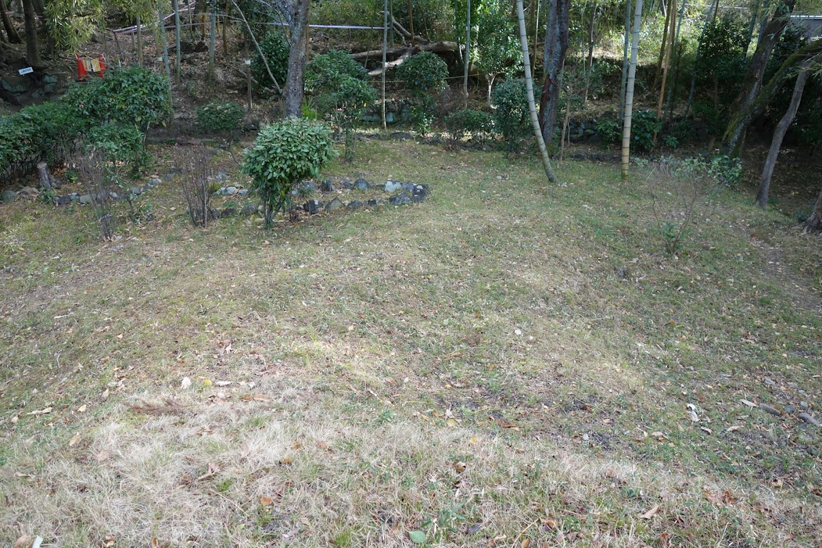 f:id:massneko:20220125164124p:plain