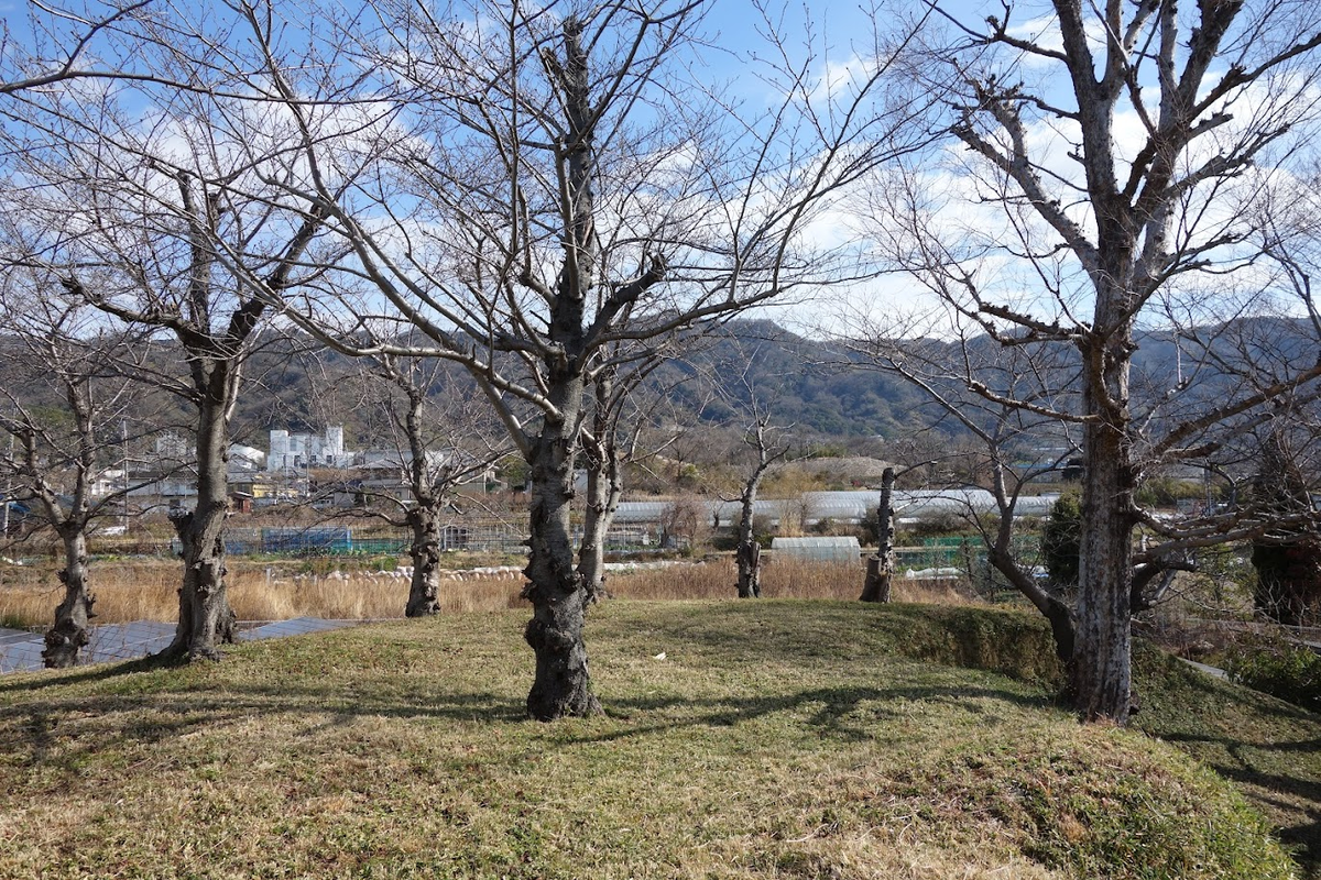 f:id:massneko:20220125171610p:plain