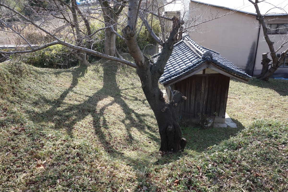 f:id:massneko:20220125171626p:plain