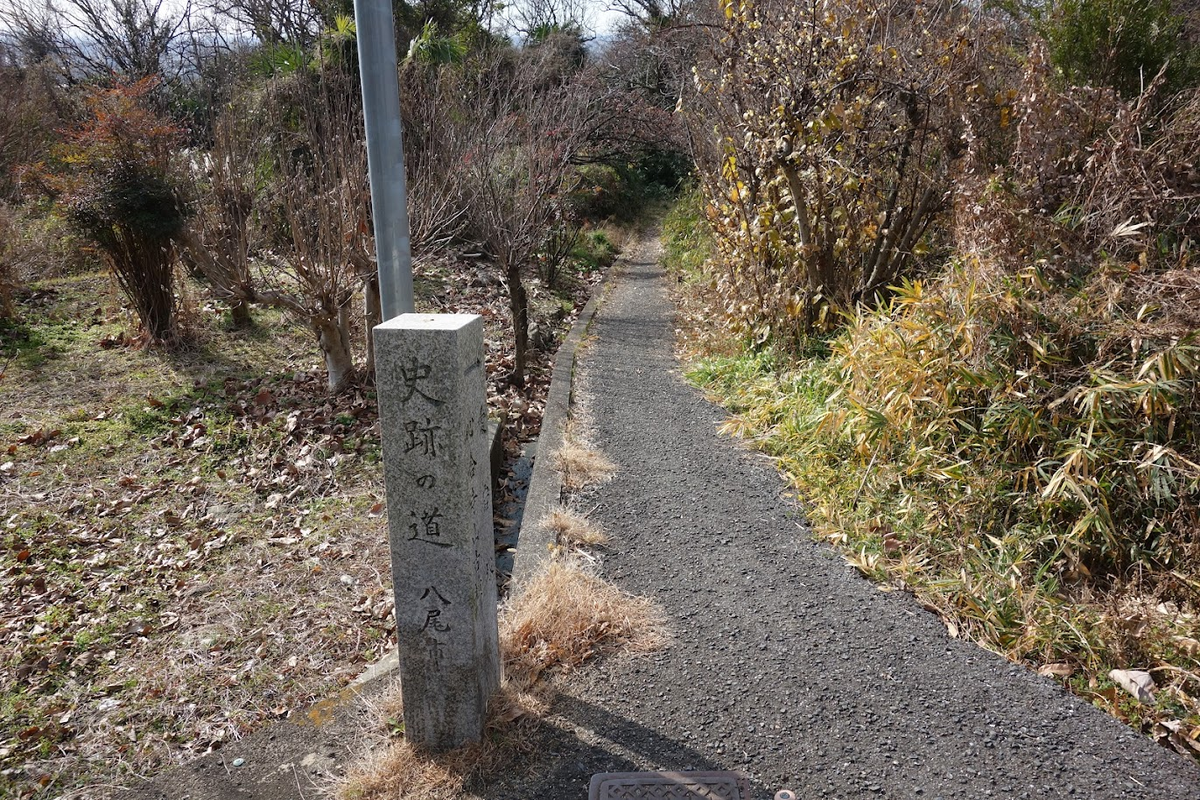 f:id:massneko:20220125214404p:plain