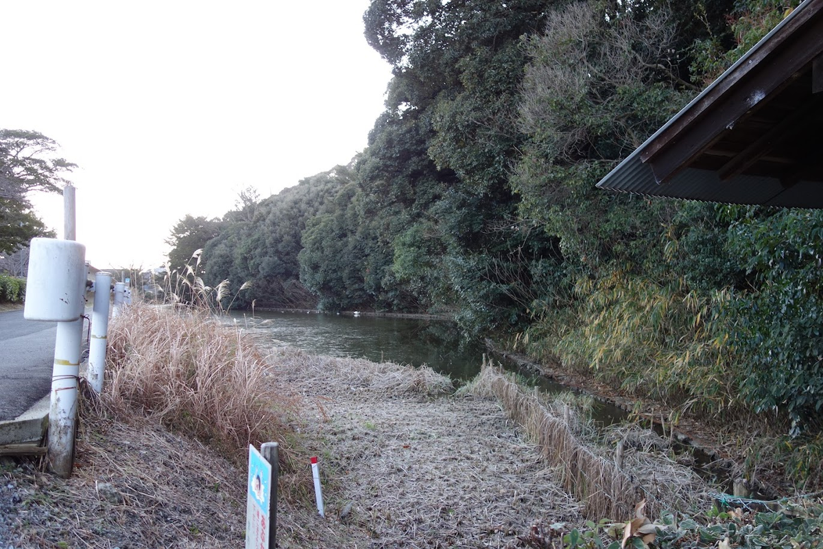 f:id:massneko:20220125225429p:plain