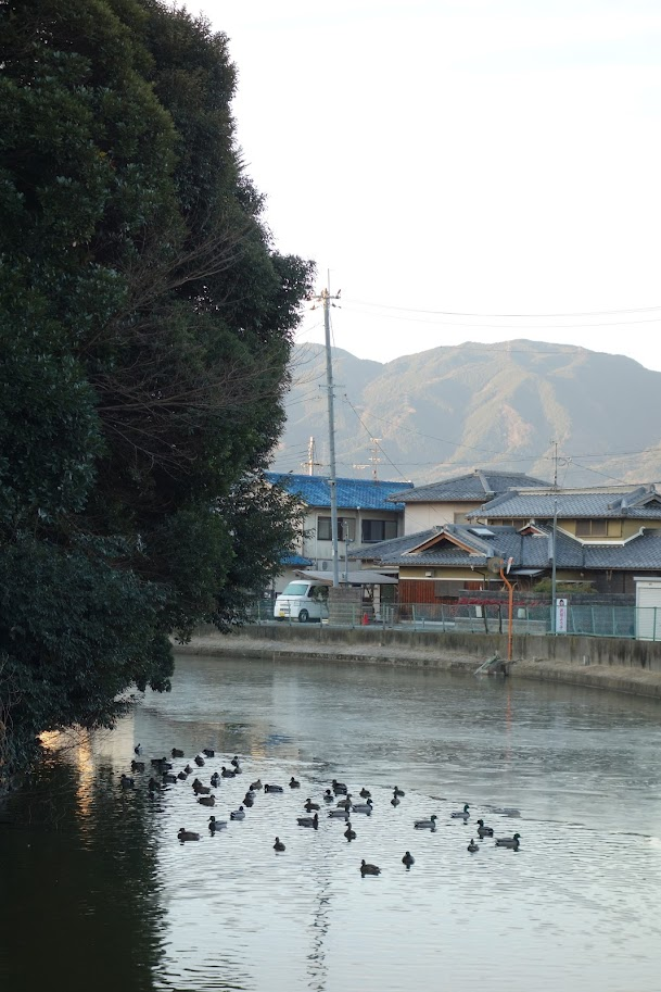f:id:massneko:20220125225451p:plain
