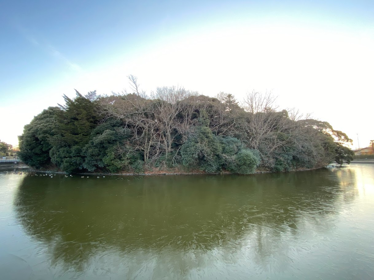 f:id:massneko:20220125225521p:plain