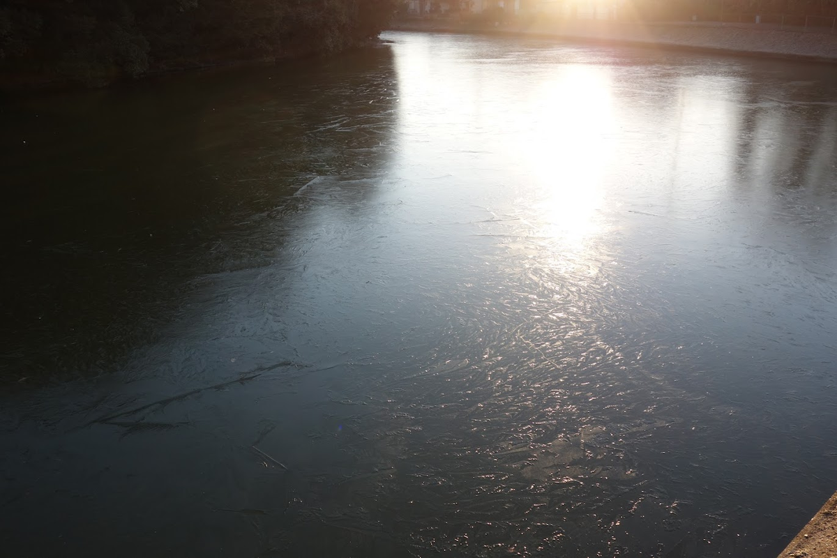 f:id:massneko:20220125225612p:plain
