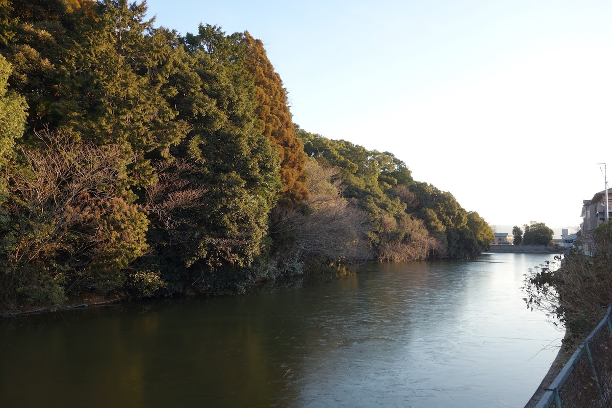 f:id:massneko:20220125225700p:plain