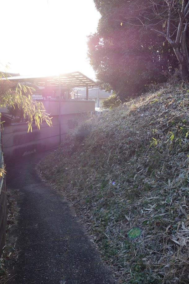 f:id:massneko:20220125230526p:plain