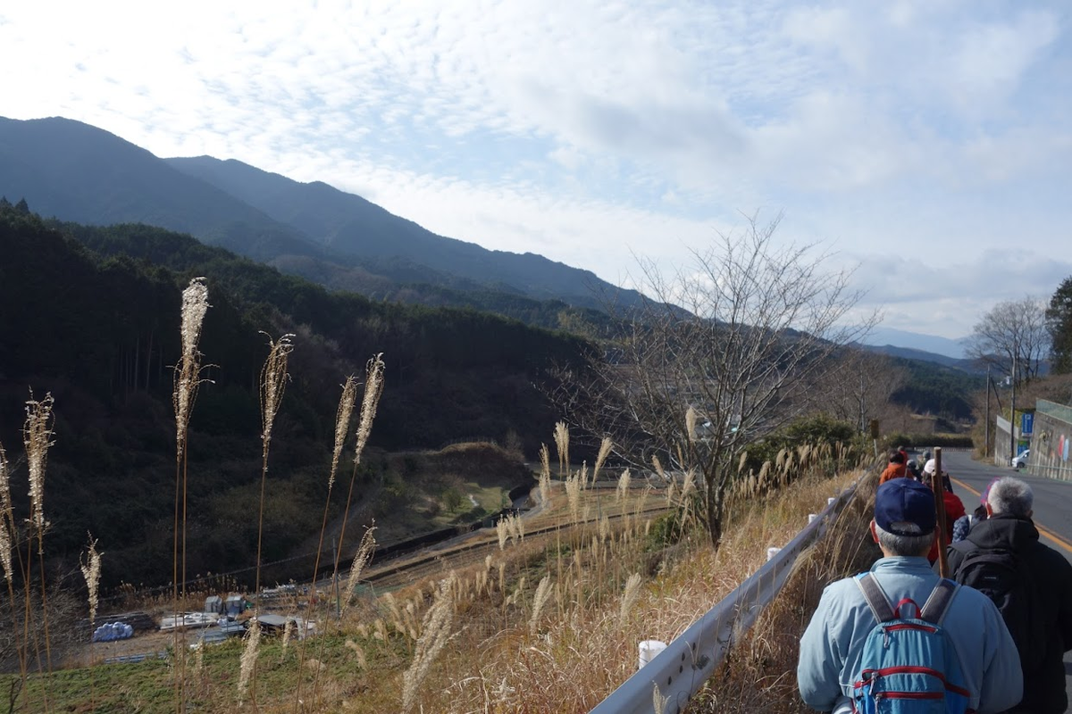 f:id:massneko:20220129195832p:plain