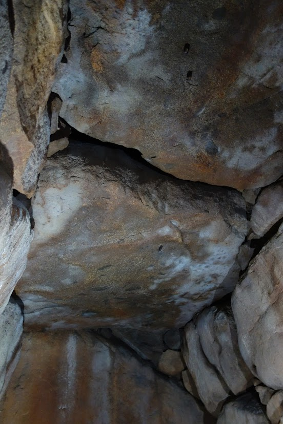 f:id:massneko:20220129202956p:plain