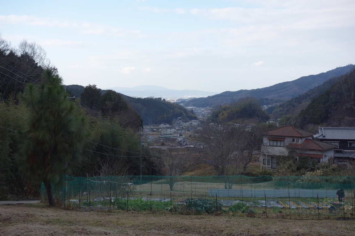 f:id:massneko:20220129203532p:plain