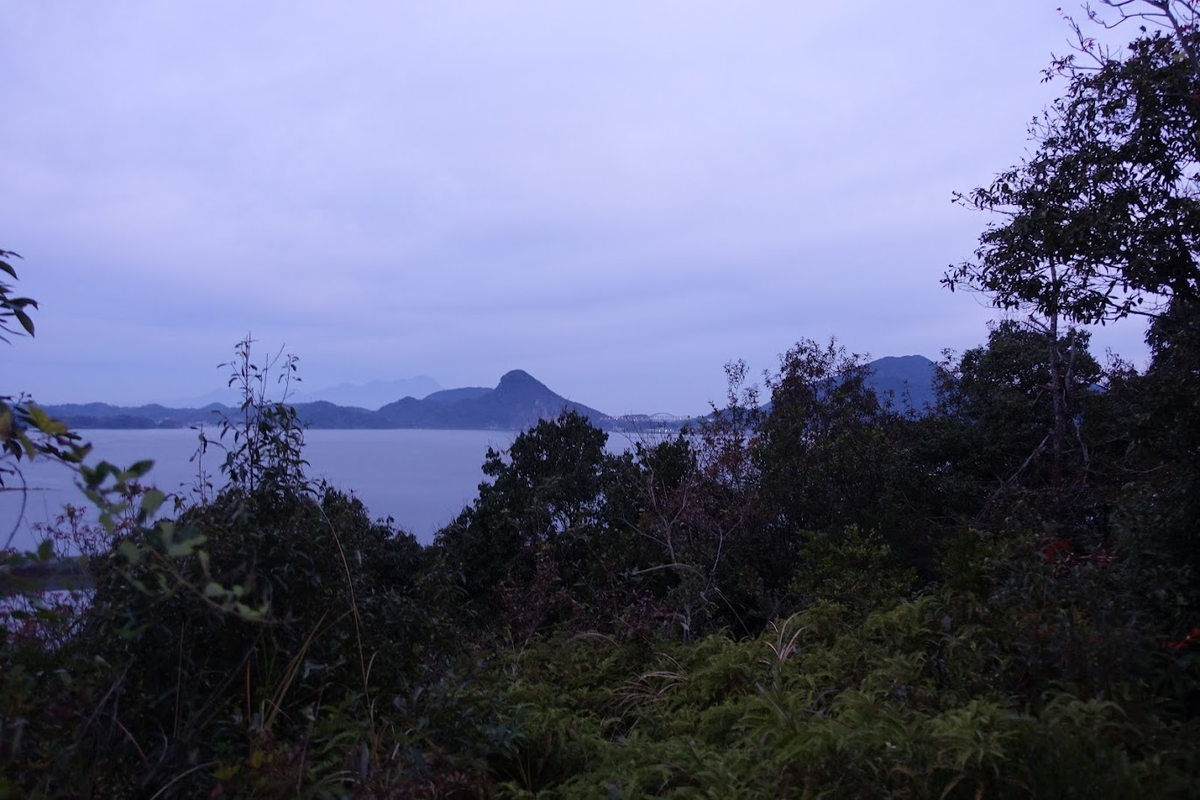 f:id:massneko:20220131144434p:plain