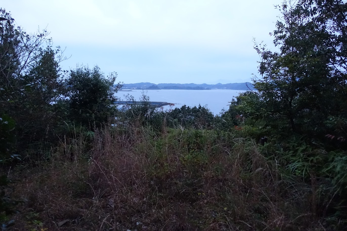 f:id:massneko:20220131144504p:plain