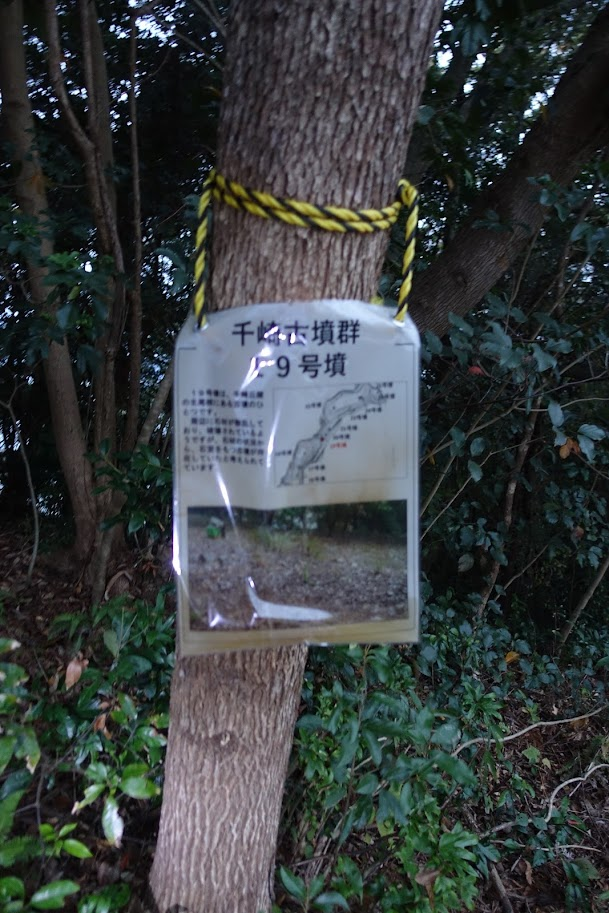 f:id:massneko:20220131144551p:plain