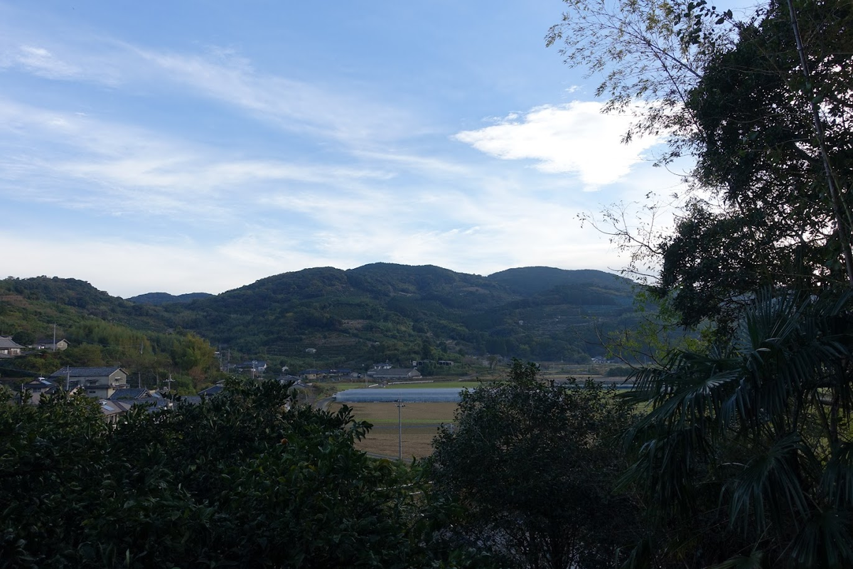 f:id:massneko:20220131164603p:plain