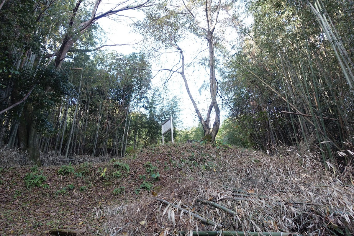 f:id:massneko:20220131165252p:plain