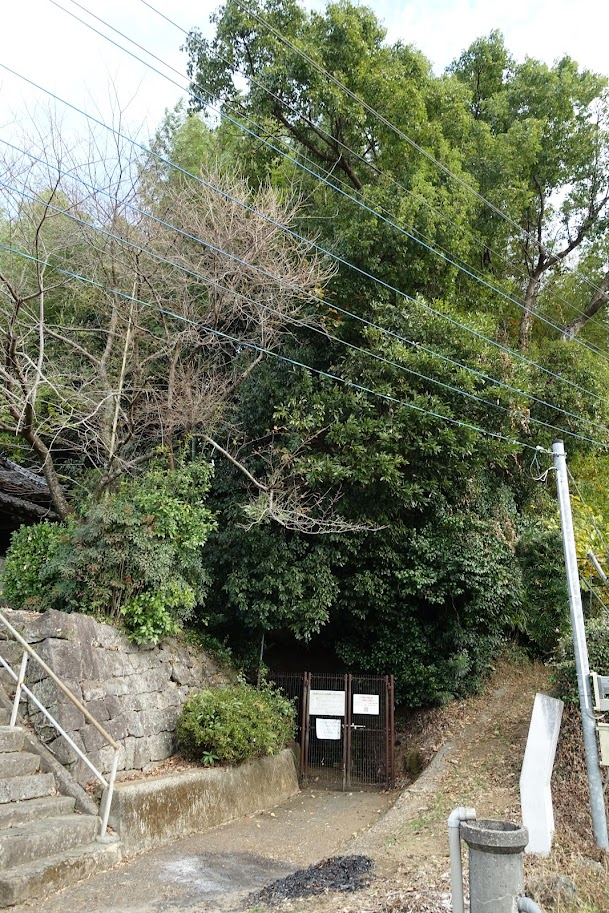 f:id:massneko:20220131204936p:plain