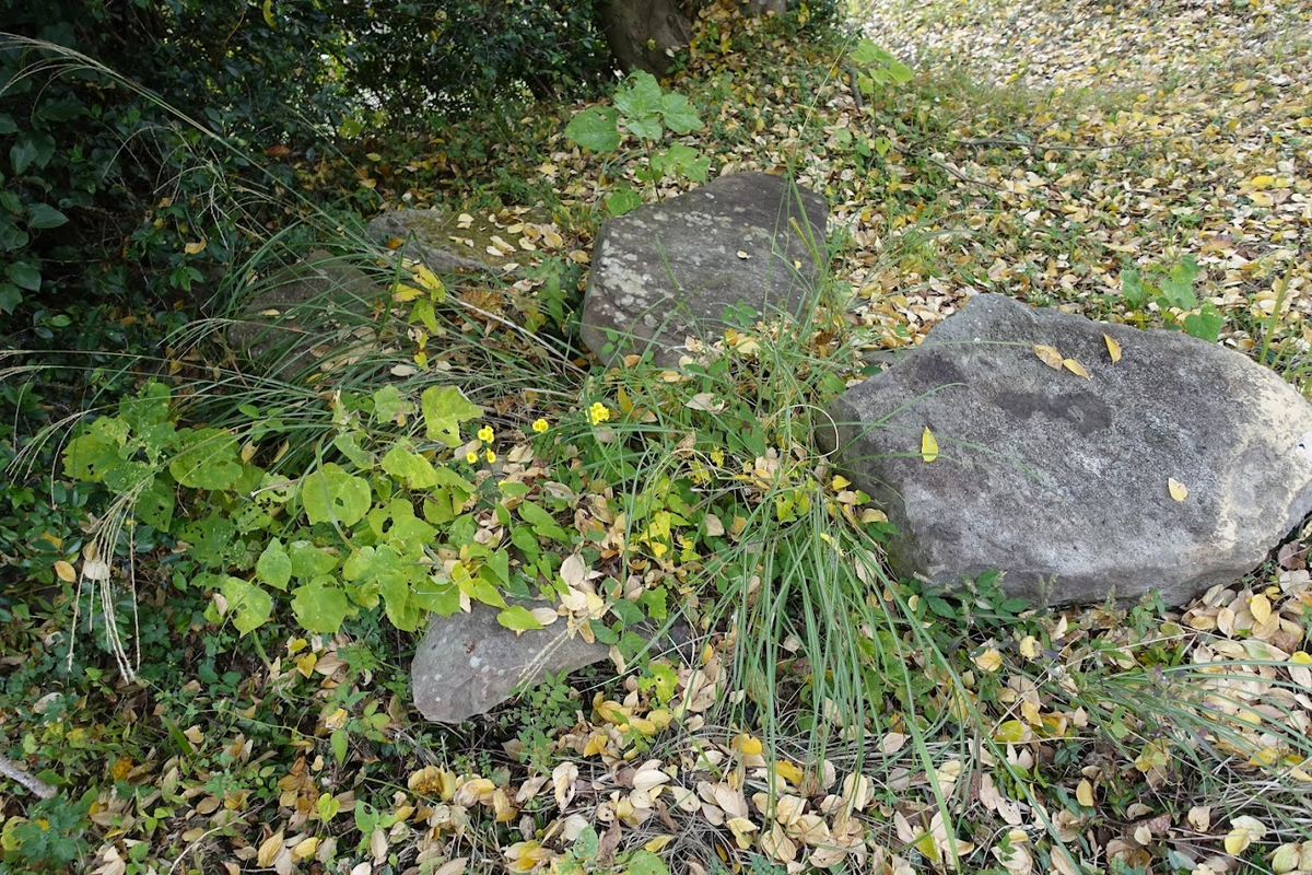 f:id:massneko:20220131205908p:plain