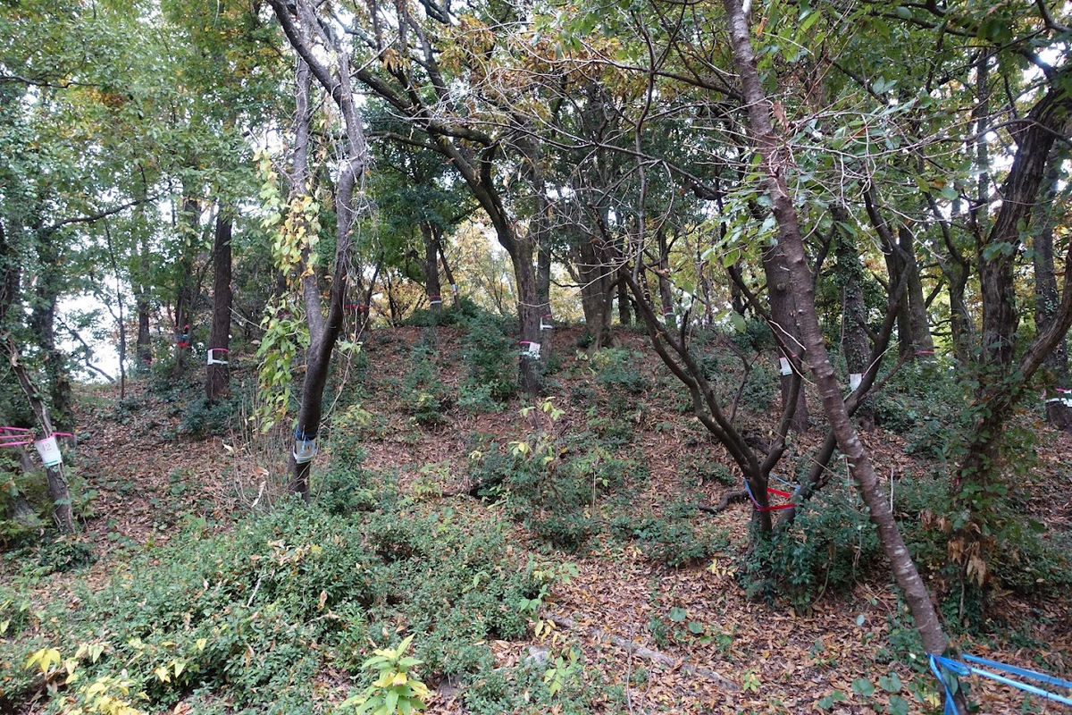 f:id:massneko:20220131213042p:plain