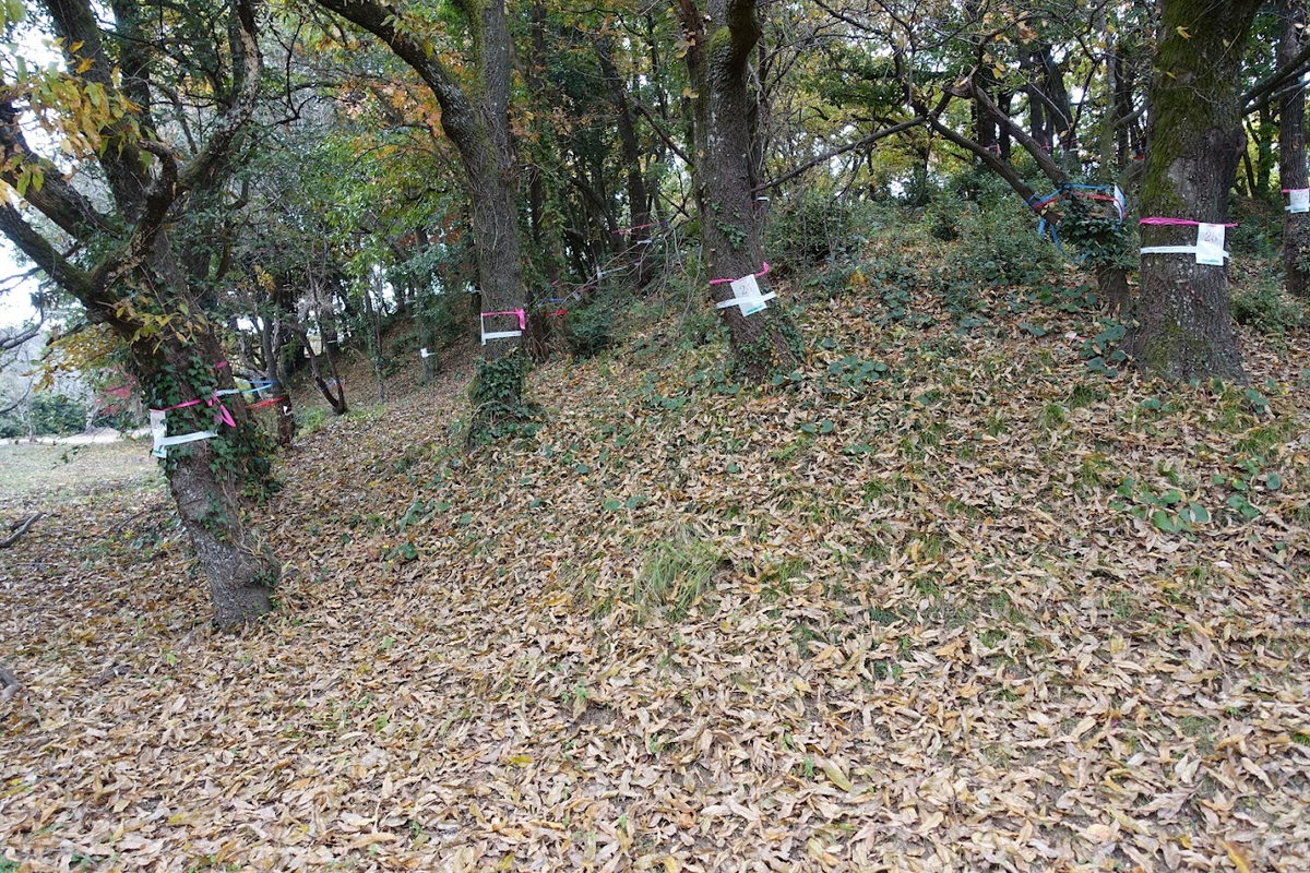 f:id:massneko:20220131213057p:plain