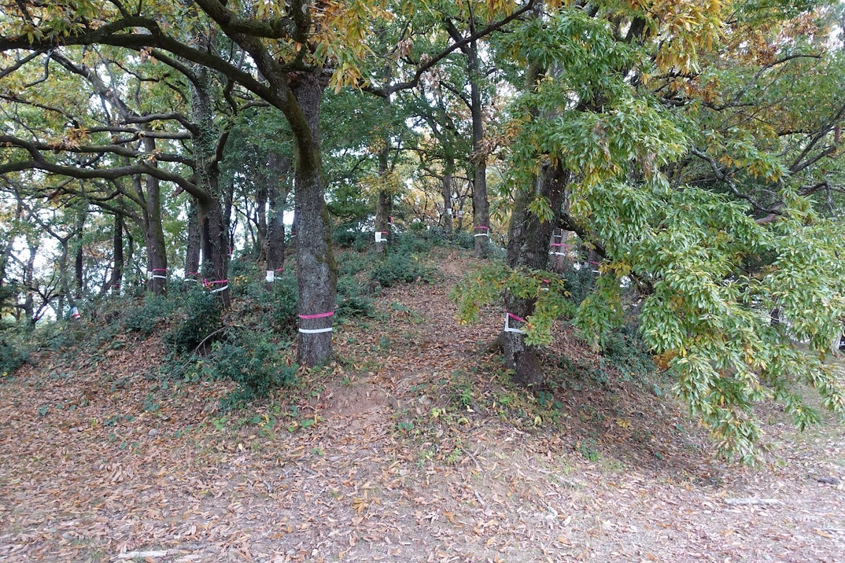 f:id:massneko:20220131213311p:plain