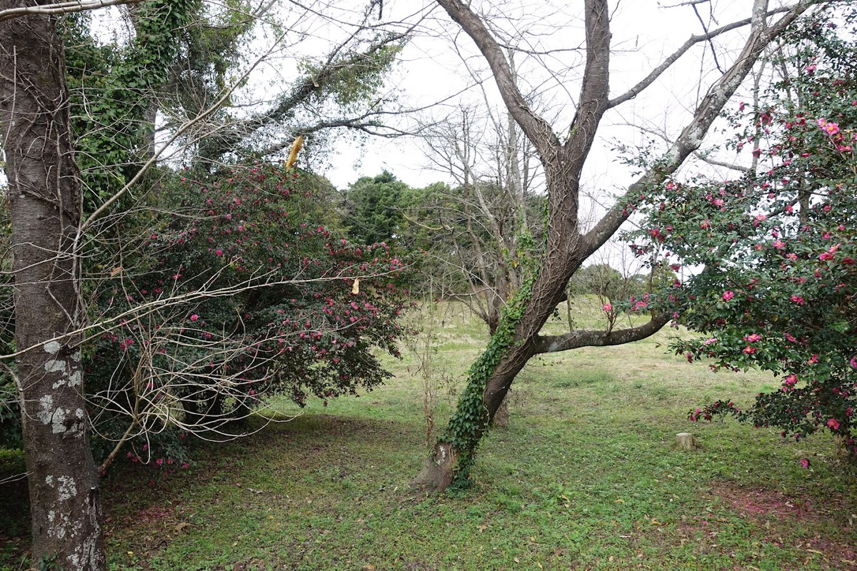 f:id:massneko:20220131213341p:plain