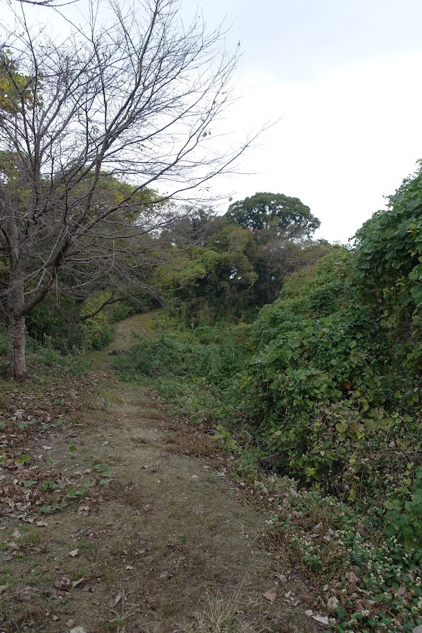 f:id:massneko:20220131220950p:plain