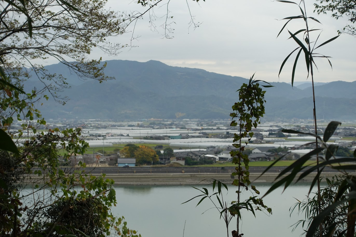 f:id:massneko:20220131221554p:plain