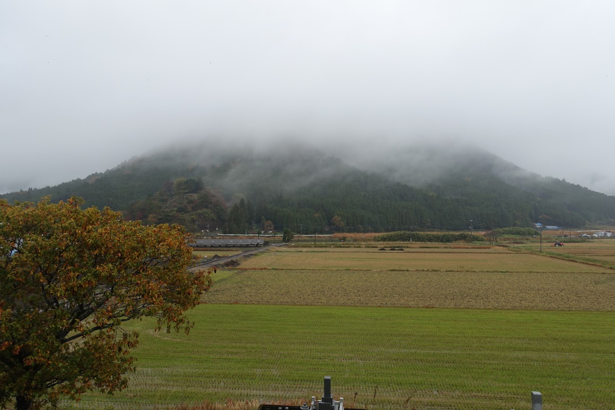 f:id:massneko:20220131223636p:plain