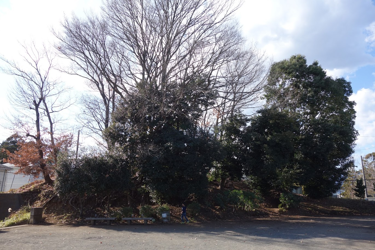 f:id:massneko:20220205230109p:plain