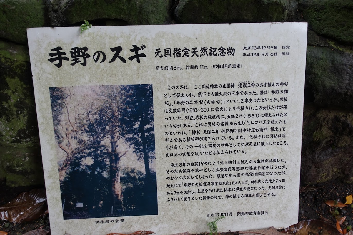 f:id:massneko:20220228225459p:plain