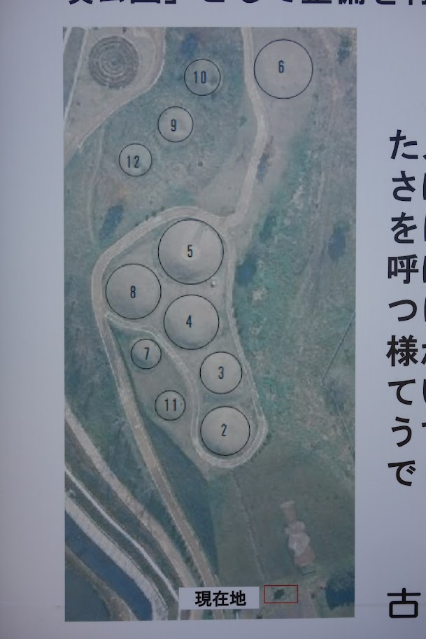 f:id:massneko:20220319081716p:plain