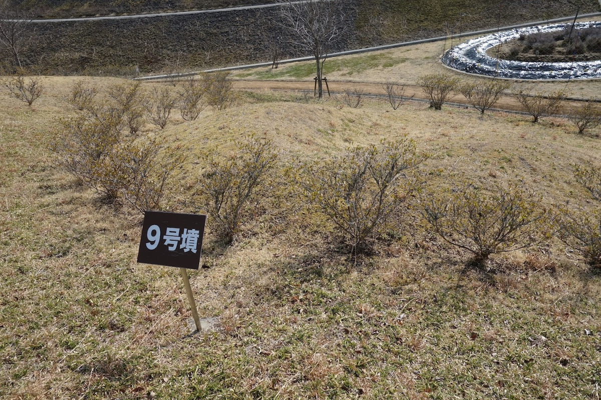 f:id:massneko:20220319082153p:plain