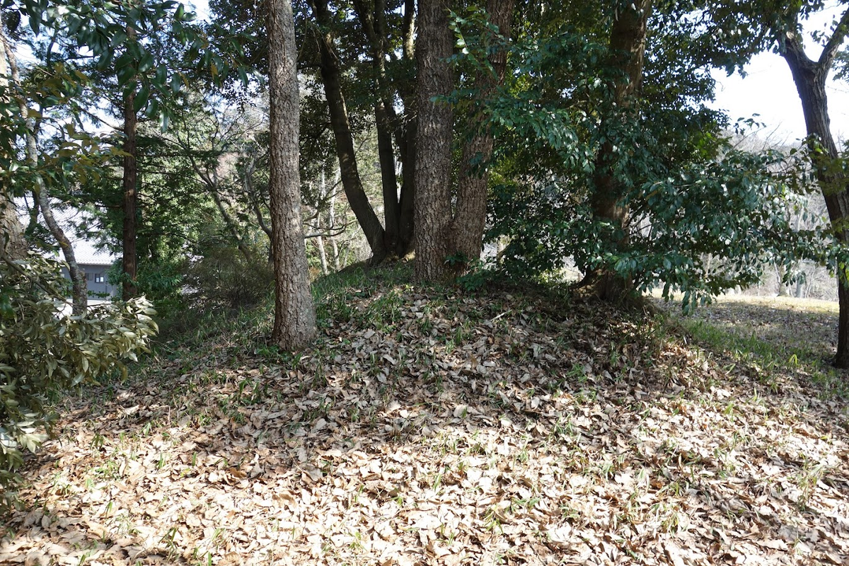 f:id:massneko:20220319093522p:plain