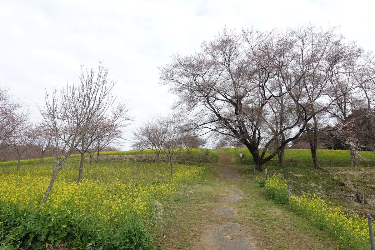 f:id:massneko:20220404144243p:plain