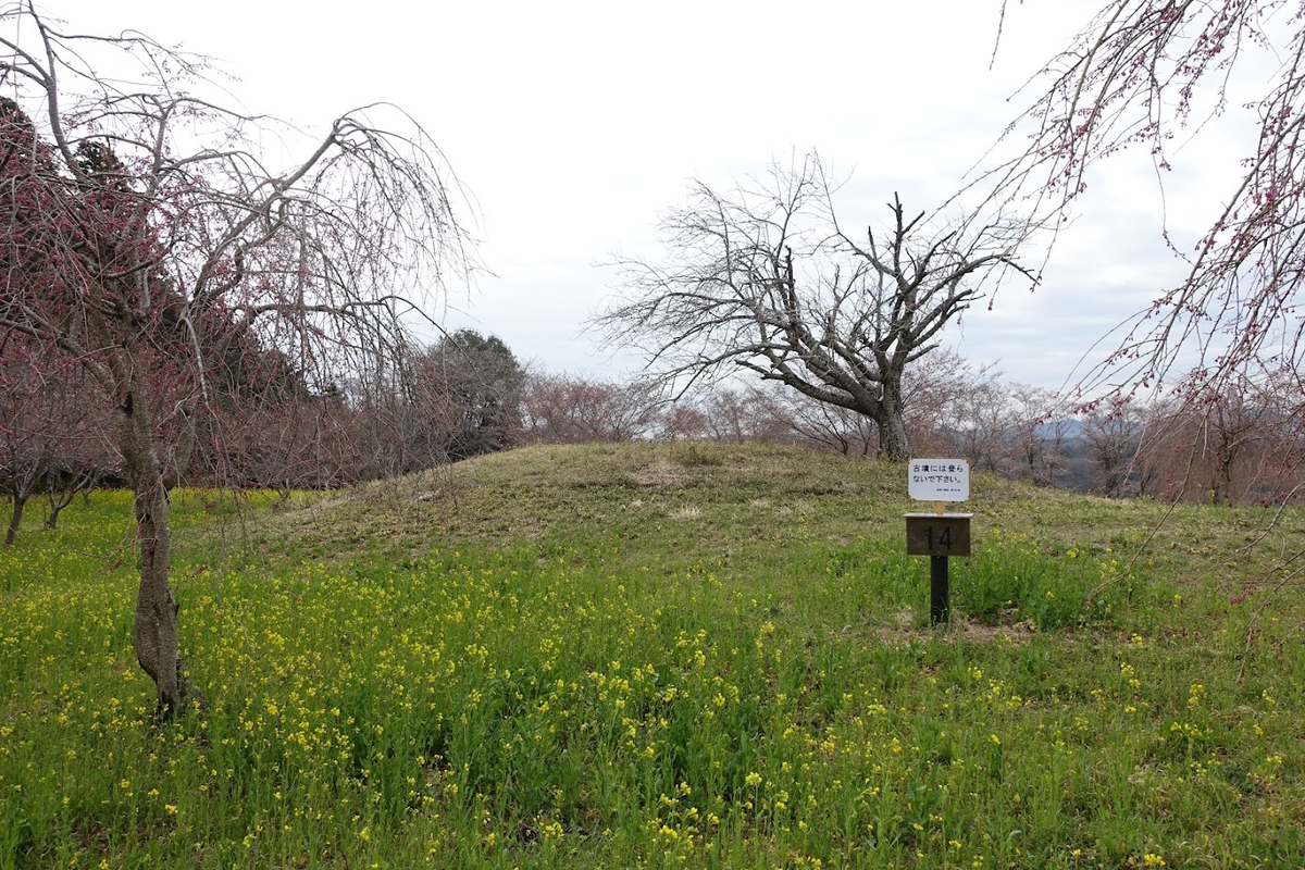 f:id:massneko:20220404144309p:plain