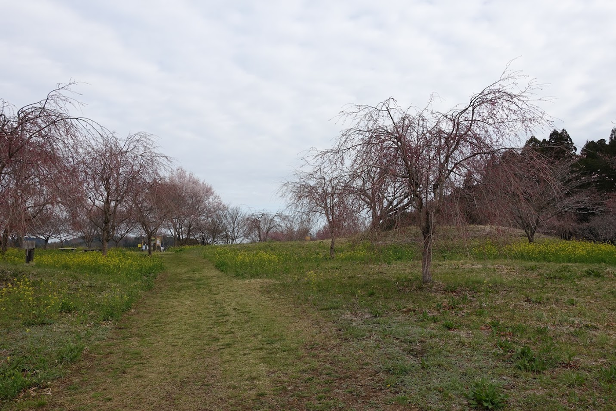 f:id:massneko:20220404144401p:plain