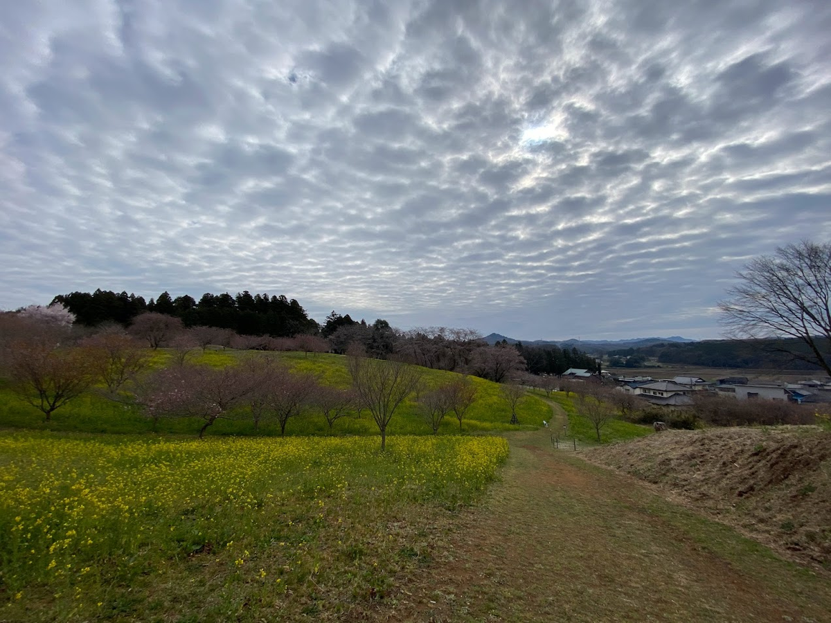 f:id:massneko:20220404144847p:plain