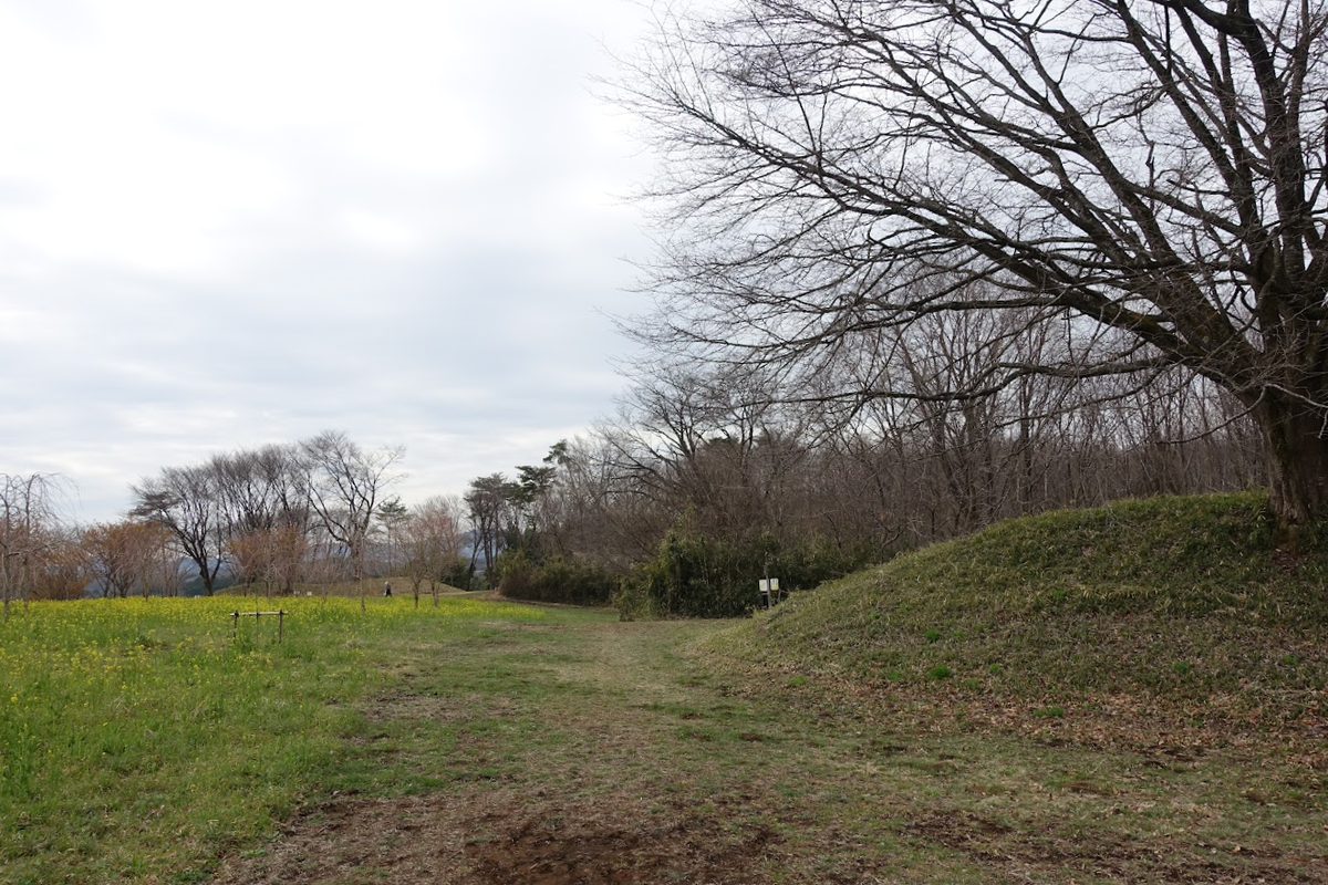 f:id:massneko:20220404161822p:plain